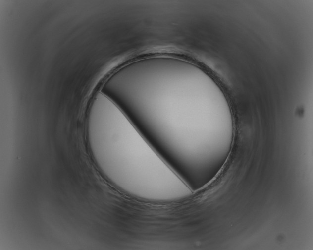 X0000094971221200711291130