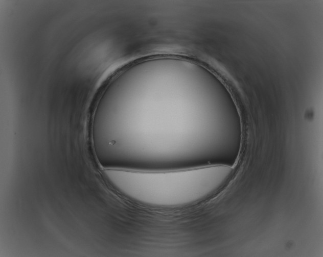 X0000094971222200711291130