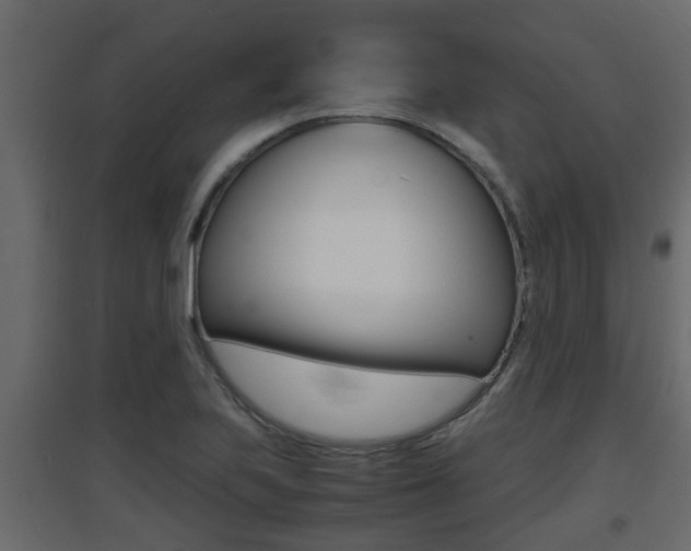 X0000094971223200711291130