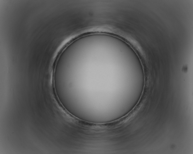 X0000094971224200711291130
