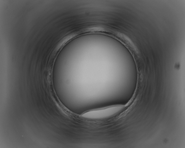 X0000094971225200711291130