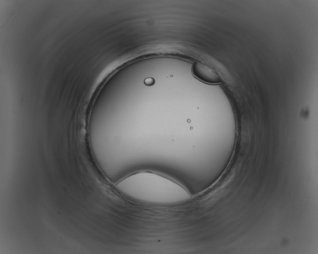 X0000094971226200711291130
