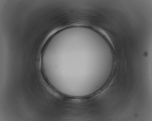 X0000094971227200711291130