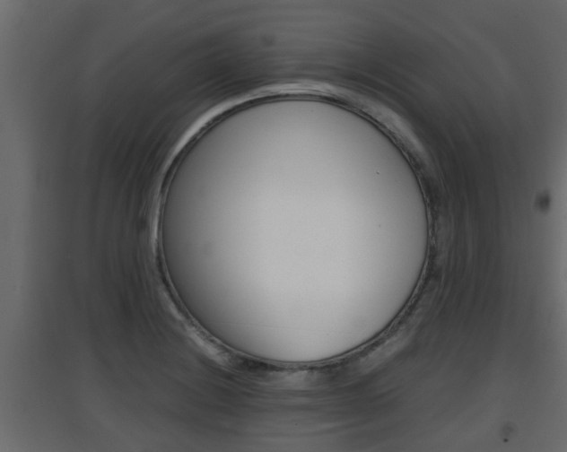 X0000094971228200711291130