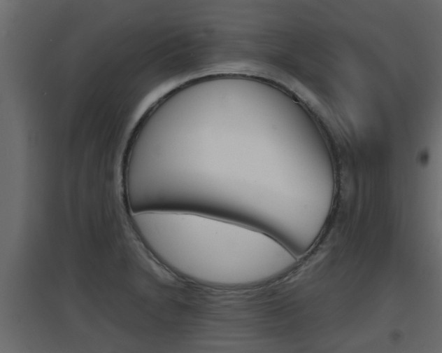 X0000094971230200711291130