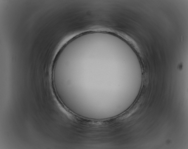 X0000094971231200711291130