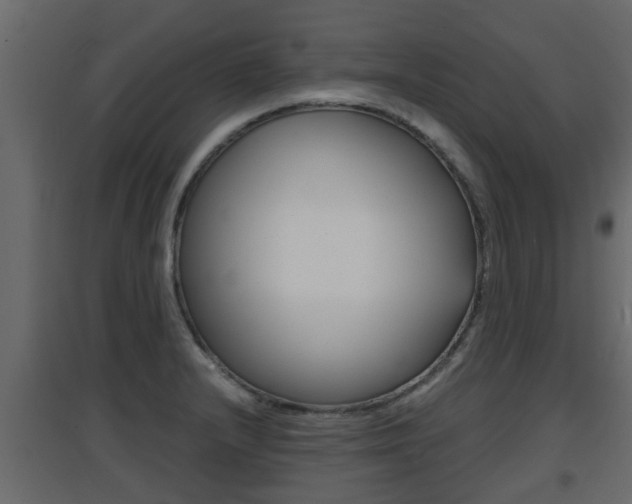 X0000094971232200711291130