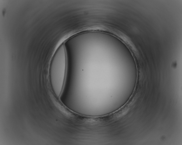 X0000094971234200711291130