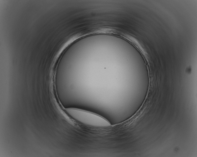 X0000094971235200711291130