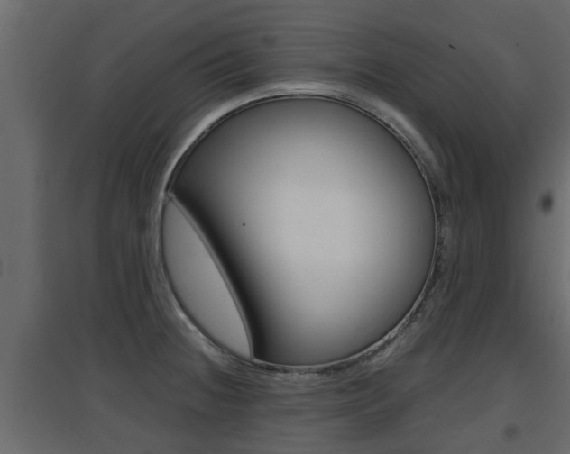 X0000094971236200711291130
