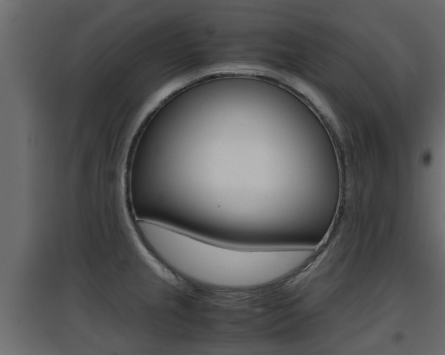 X0000094971237200711291130