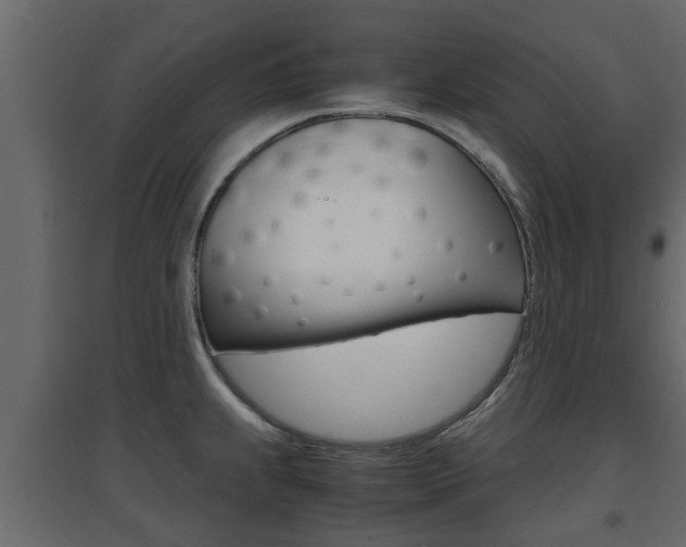 X0000094971239200711291130