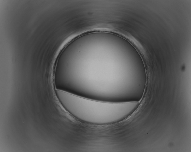 X0000094971240200711291130