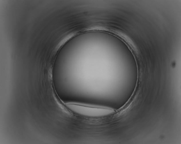 X0000094971241200711291130