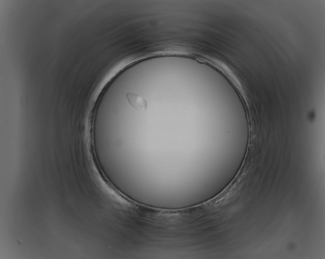 X0000094971243200711291130