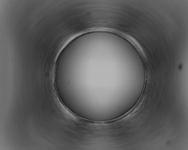 X0000094971244200711291130