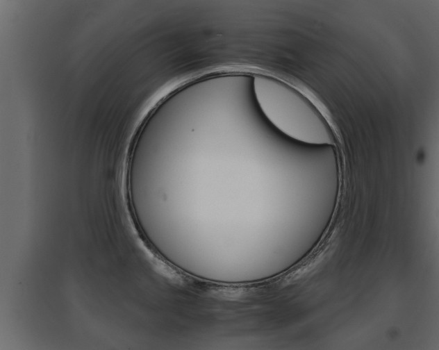 X0000094971245200711291130