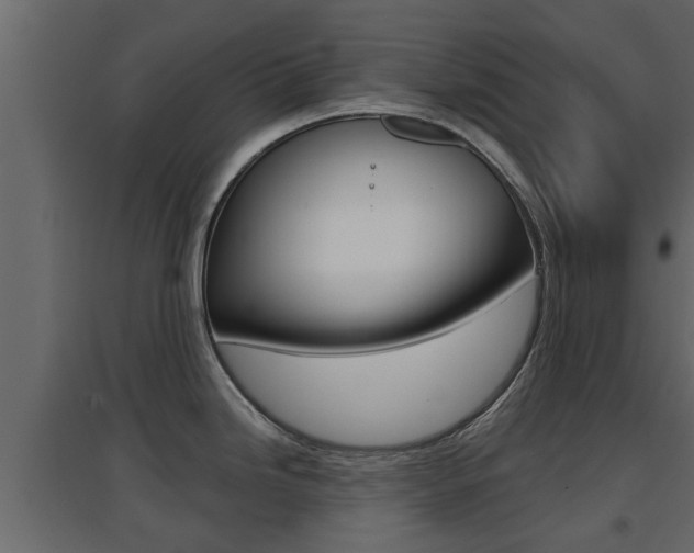 X0000094971246200711291130