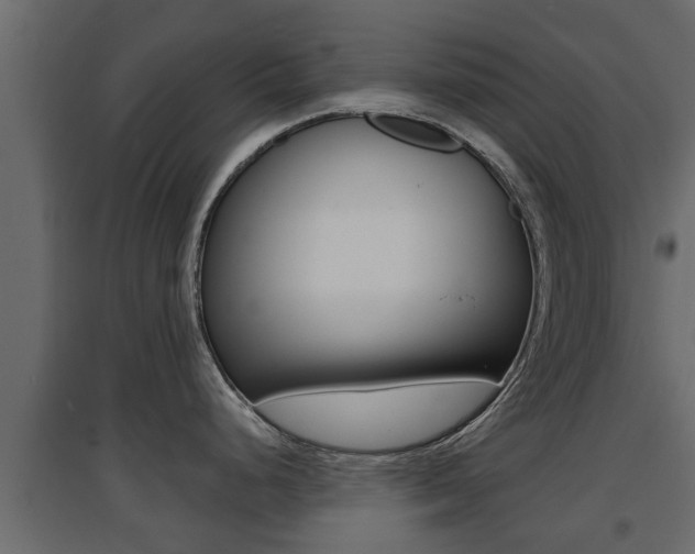 X0000094971248200711291130