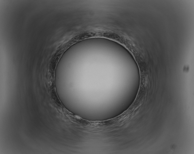 X0000094971253200711291129
