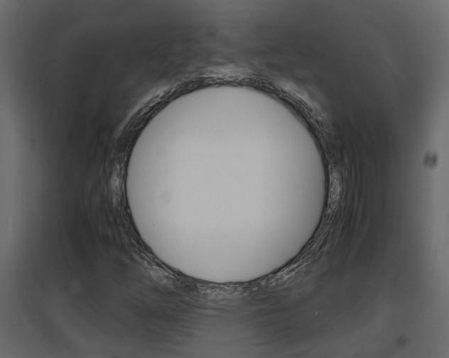 X0000094971254200711291129