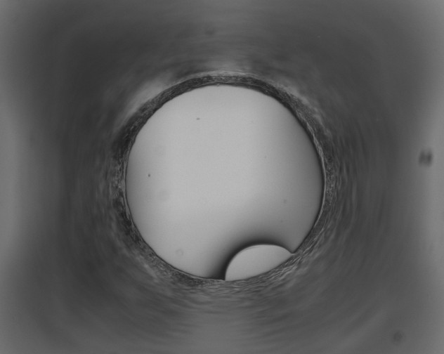 X0000094971255200711291129