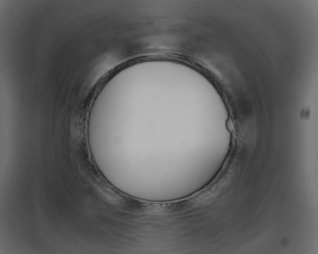 X0000094971259200711291129