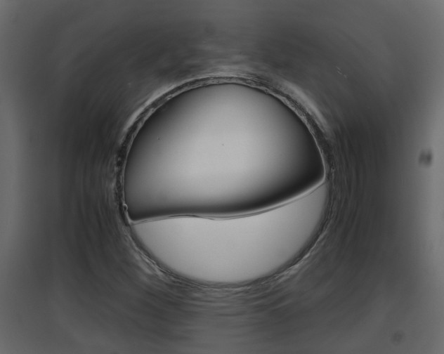 X0000094971260200711291129