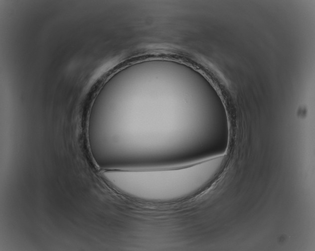 X0000094971261200711291129
