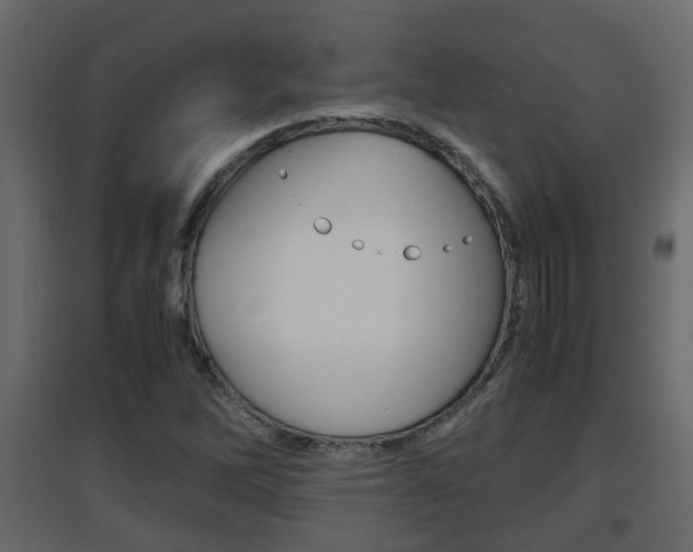 X0000094971262200711291129