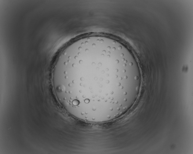 X0000094971263200711291129