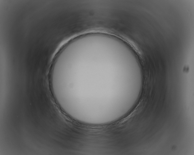 X0000094971264200711291129