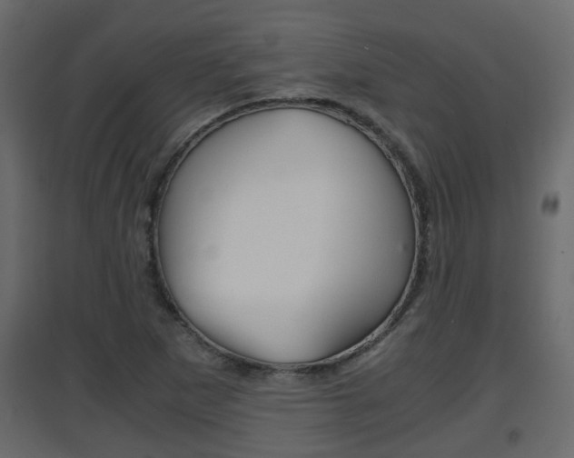 X0000094971265200711291129