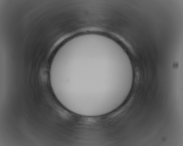 X0000094971266200711291129