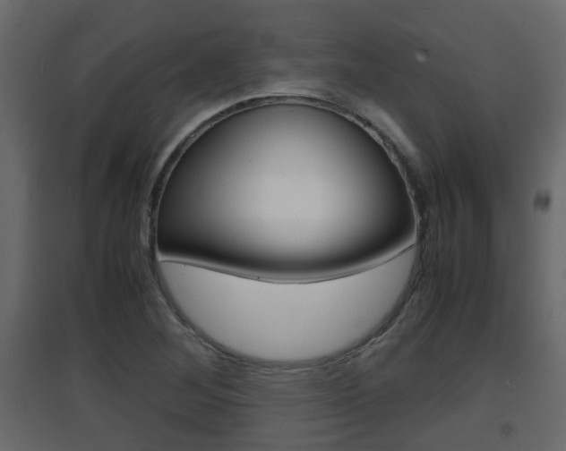 X0000094971268200711291129