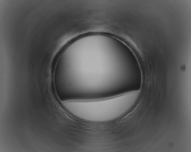 X0000094971270200711291129