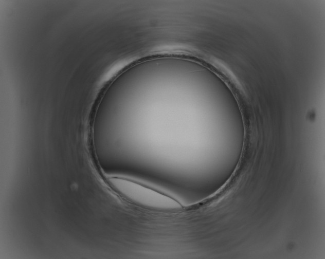 X0000094971277200711291129
