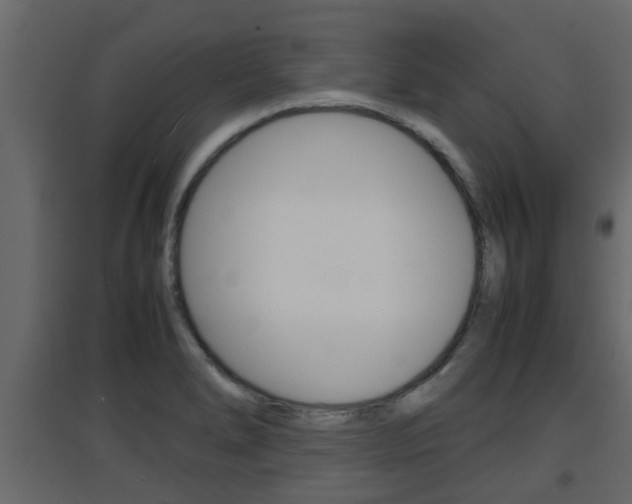 X0000094971278200711291129