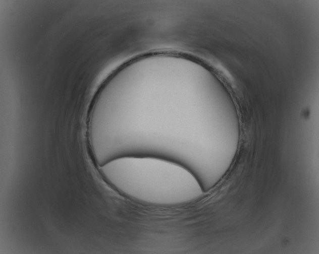 X0000094971279200711291129