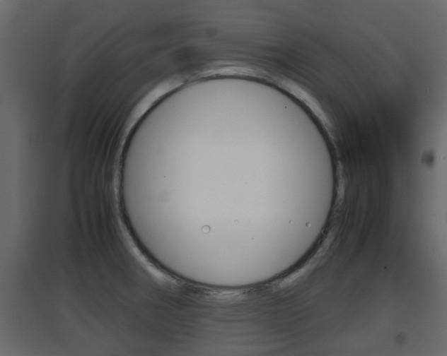 X0000094971282200711291129