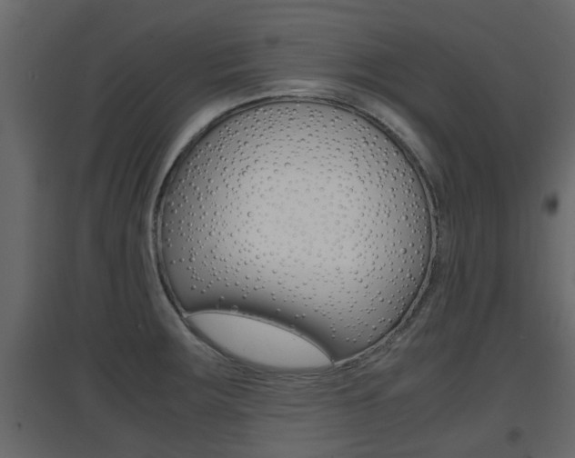 X0000094971283200711291129
