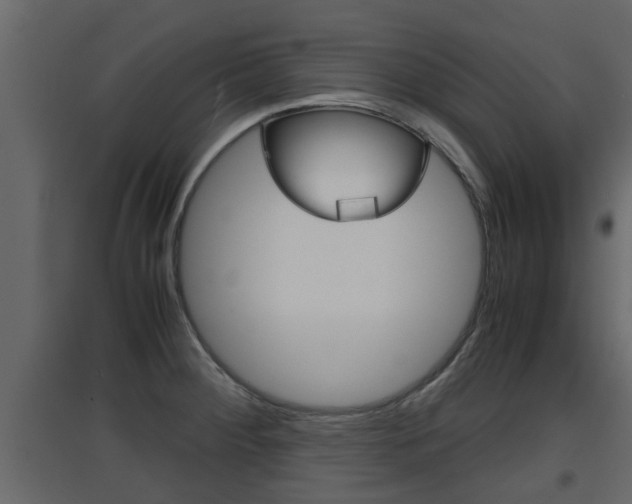 X0000094971284200711291129