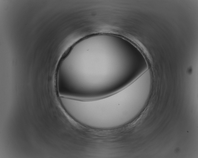 X0000094971285200711291129