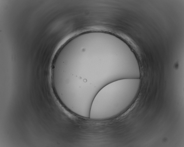 X0000094971286200711291129