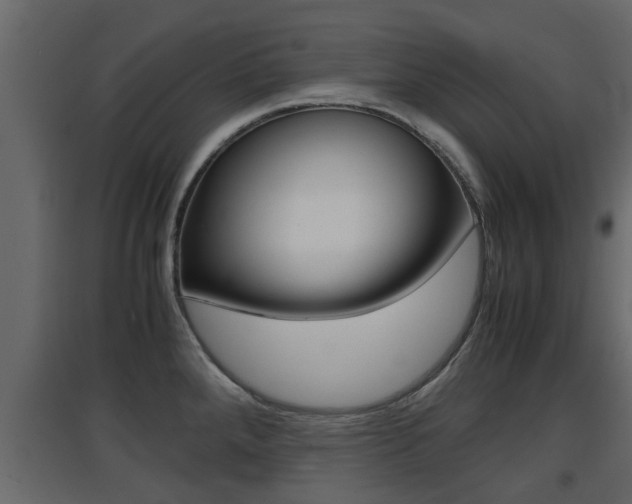 X0000094971288200711291129