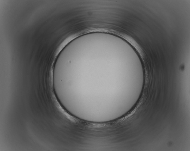 X0000094971290200711291129