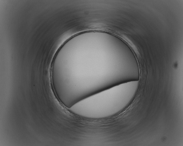 X0000094971291200711291129