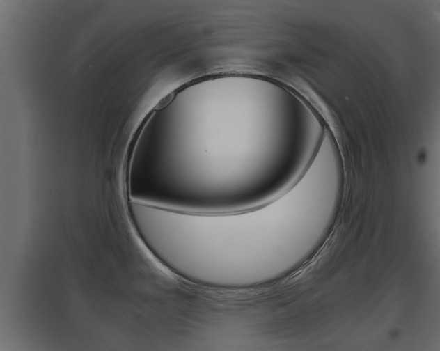 X0000094971293200711291129