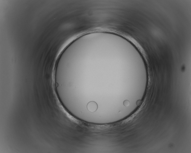 X0000094971294200711291129
