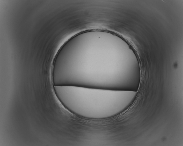 X0000094971295200711291129